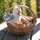 Little Dutch Little Farm Cuddle Chicken