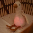 Little Dutch Newborn Naturals Activity Triangle