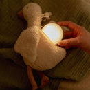 Little Dutch Newborn Naturals Activity Triangle
