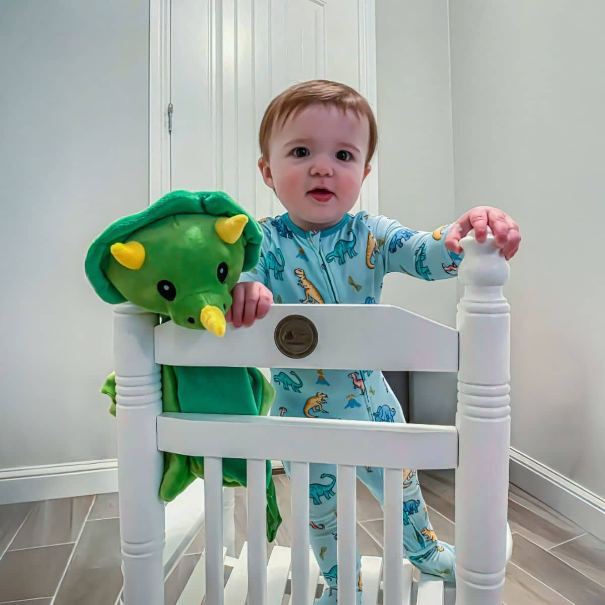 Love By Emi Lullaby and White Noise Comforter - Dash the Dinosaur
