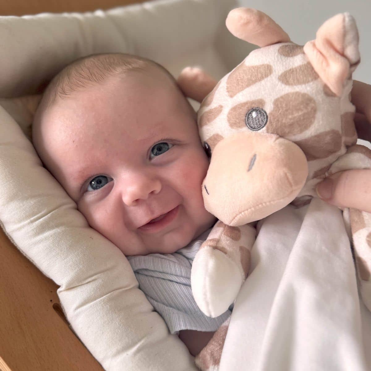 Love By Emi Lullaby and White Noise Comforter - Shay the Giraffe