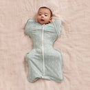 Love to Dream Transition Swaddle UP 1.0 TOG Stretch Cotton - Olive Moon