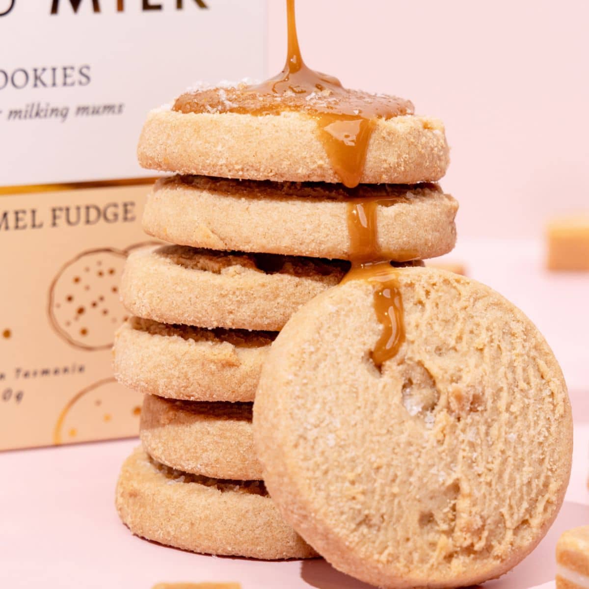 Made to Milk Lactation Cookies - Salted Caramel Fudge