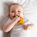 Matchstick Monkey Teething Toy and Gel Applicator - Lion