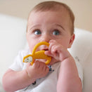Matchstick Monkey Teething Toy and Gel Applicator - Lion