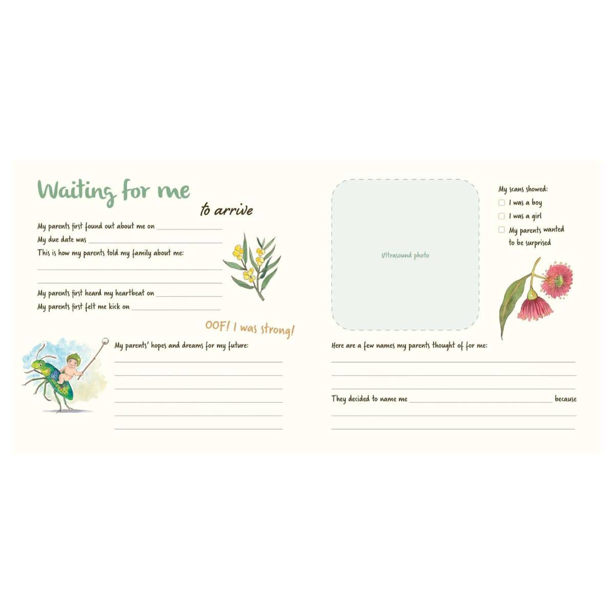 May Gibbs: My First 3 Years - Baby Book