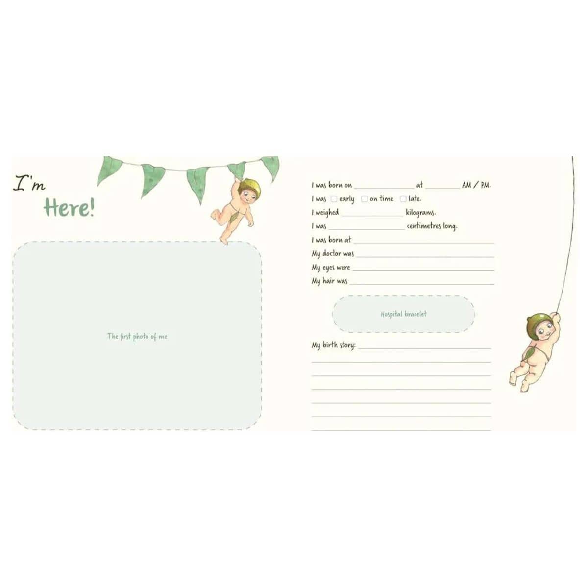 May Gibbs: My First 3 Years - Baby Book