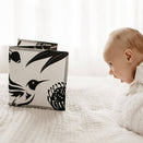 Mesmerised Wildbaby Organic Cloth Book