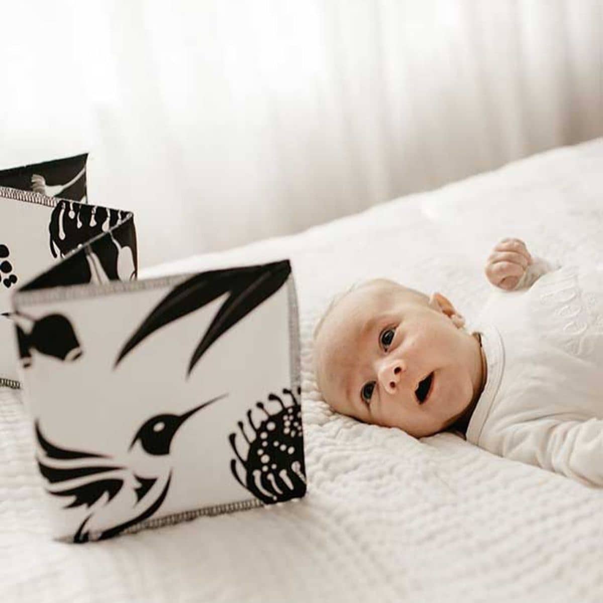 Mesmerised Wildbaby Organic Cloth Book