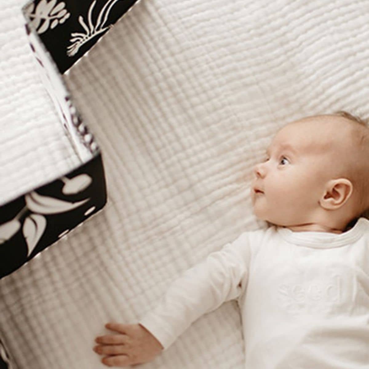 Mesmerised Wildbaby Organic Cloth Book