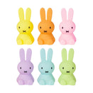 Mr Maria Colourful Surprise Bundle of Light - Miffy