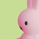 Mr Maria Colourful Surprise Bundle of Light - Miffy