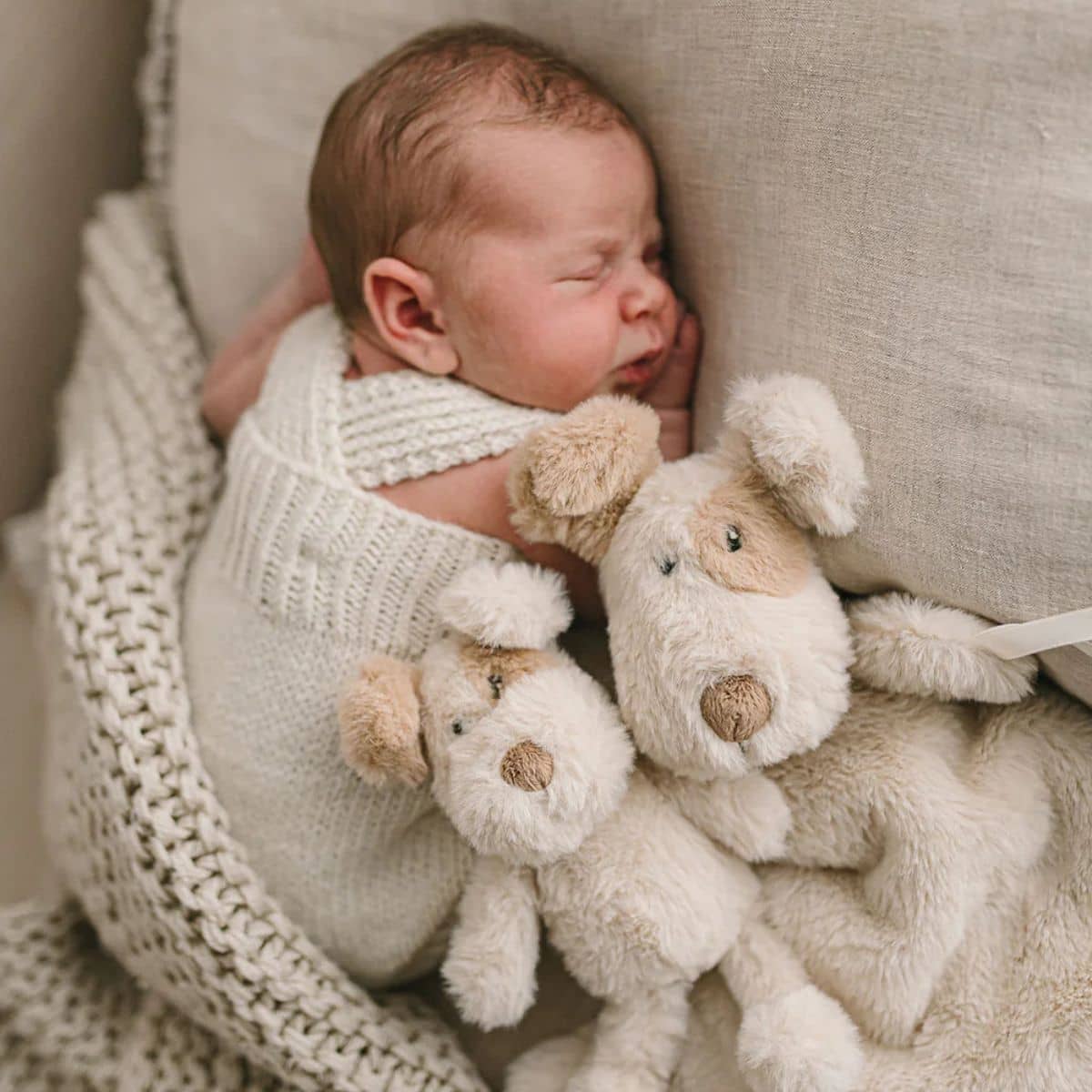Nana Huchy Buddy the Dog Rattle