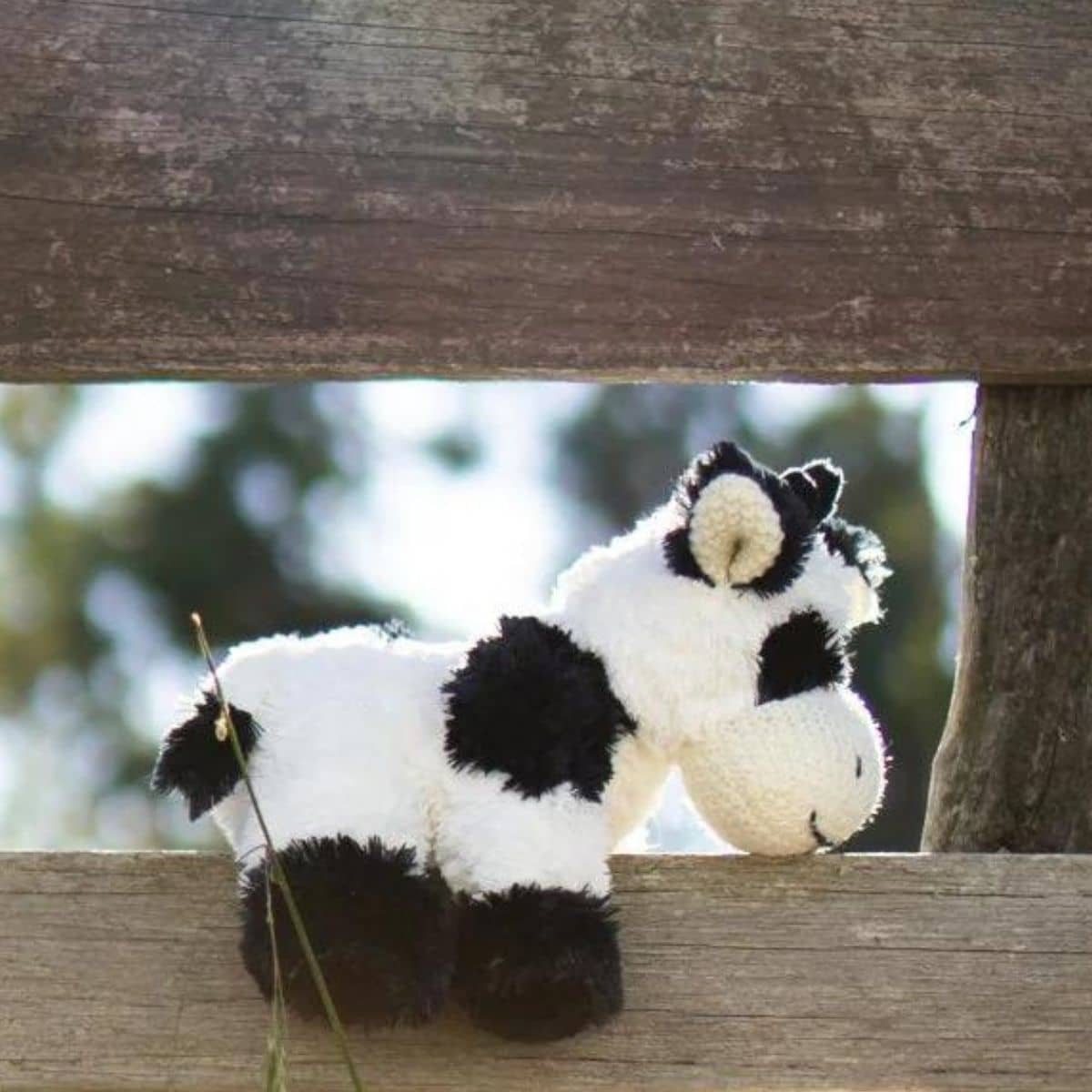 Nana Huchy Coco the Cow - Black