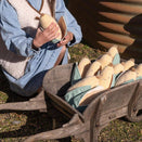 Nana Huchy Cooper Corn - The Corny Friend
