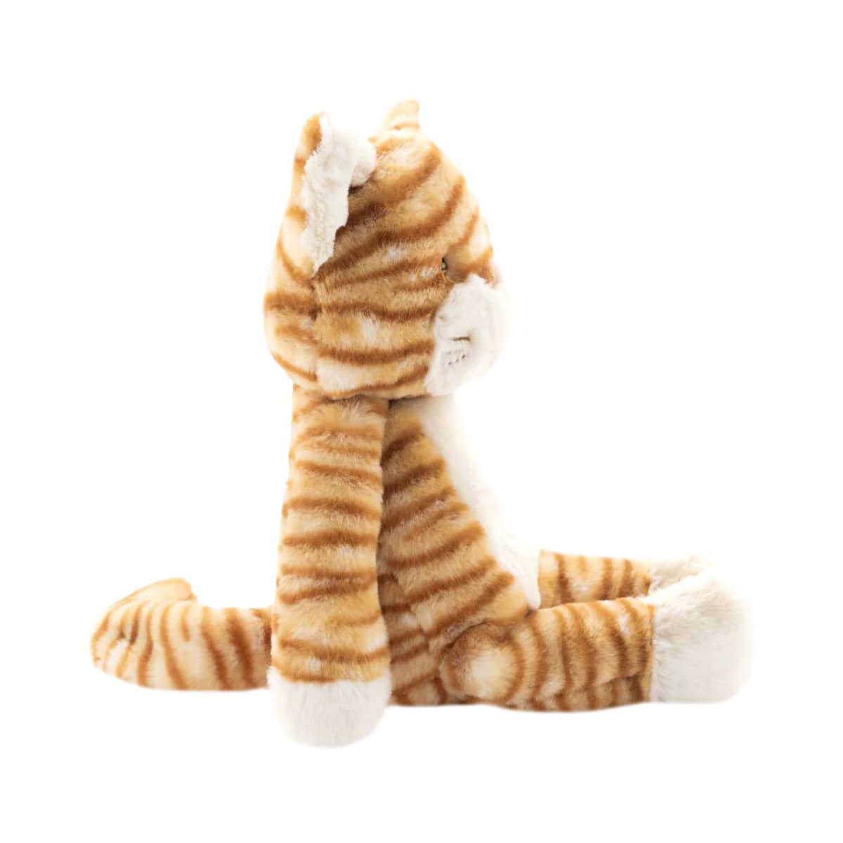 Nana Huchy Ginger the Cat