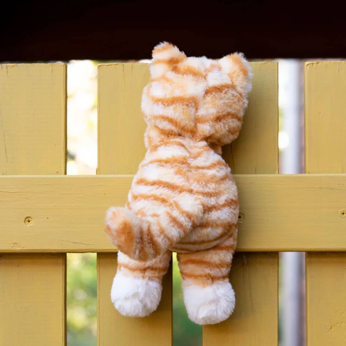 Nana Huchy Ginger the Kitten
