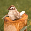 Nana Huchy Ken Kookaburra Rattle