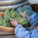 Nana Huchy Piper Peas - The Loyal Friend