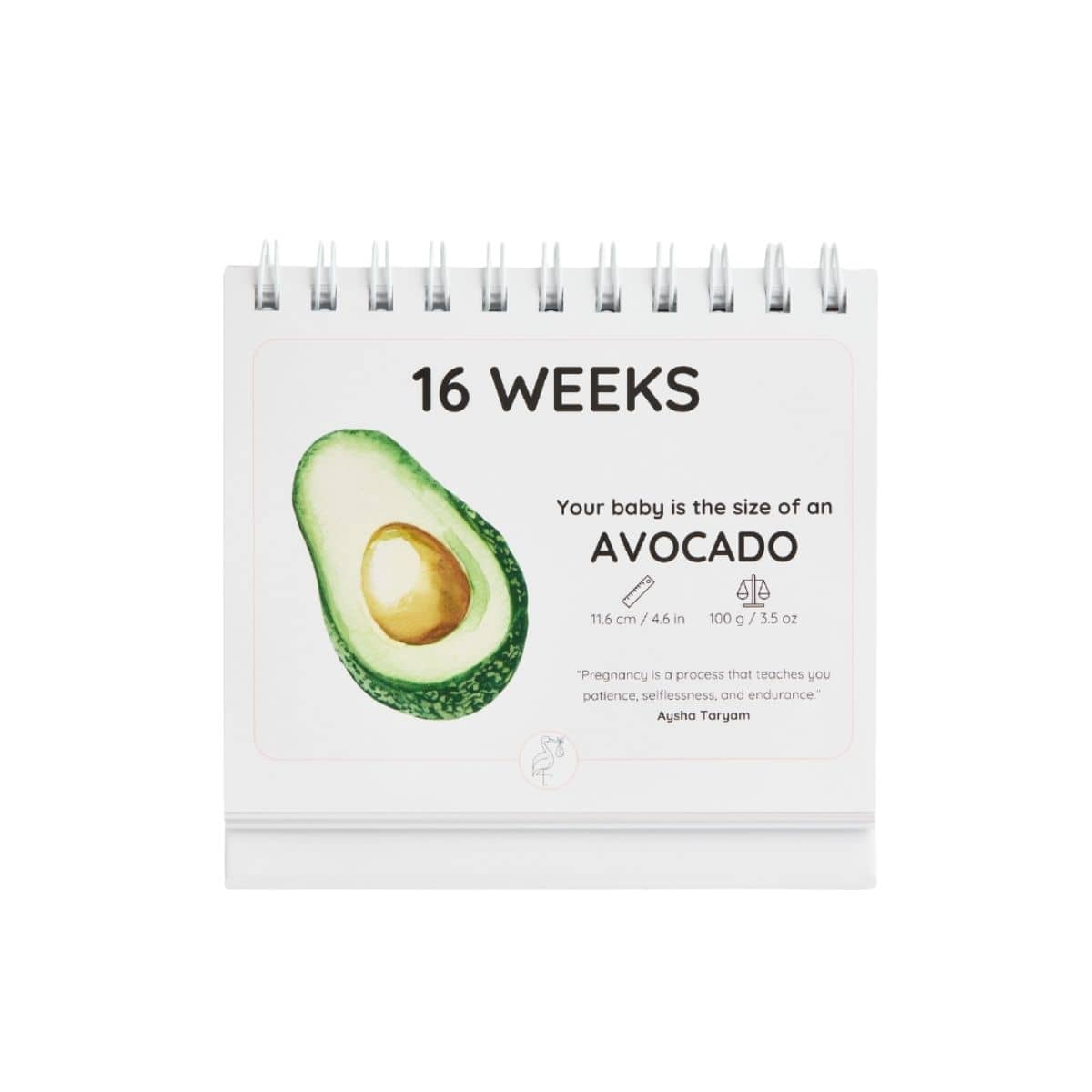 Newborn Nest The Growing Miracle Pregnancy Calendar