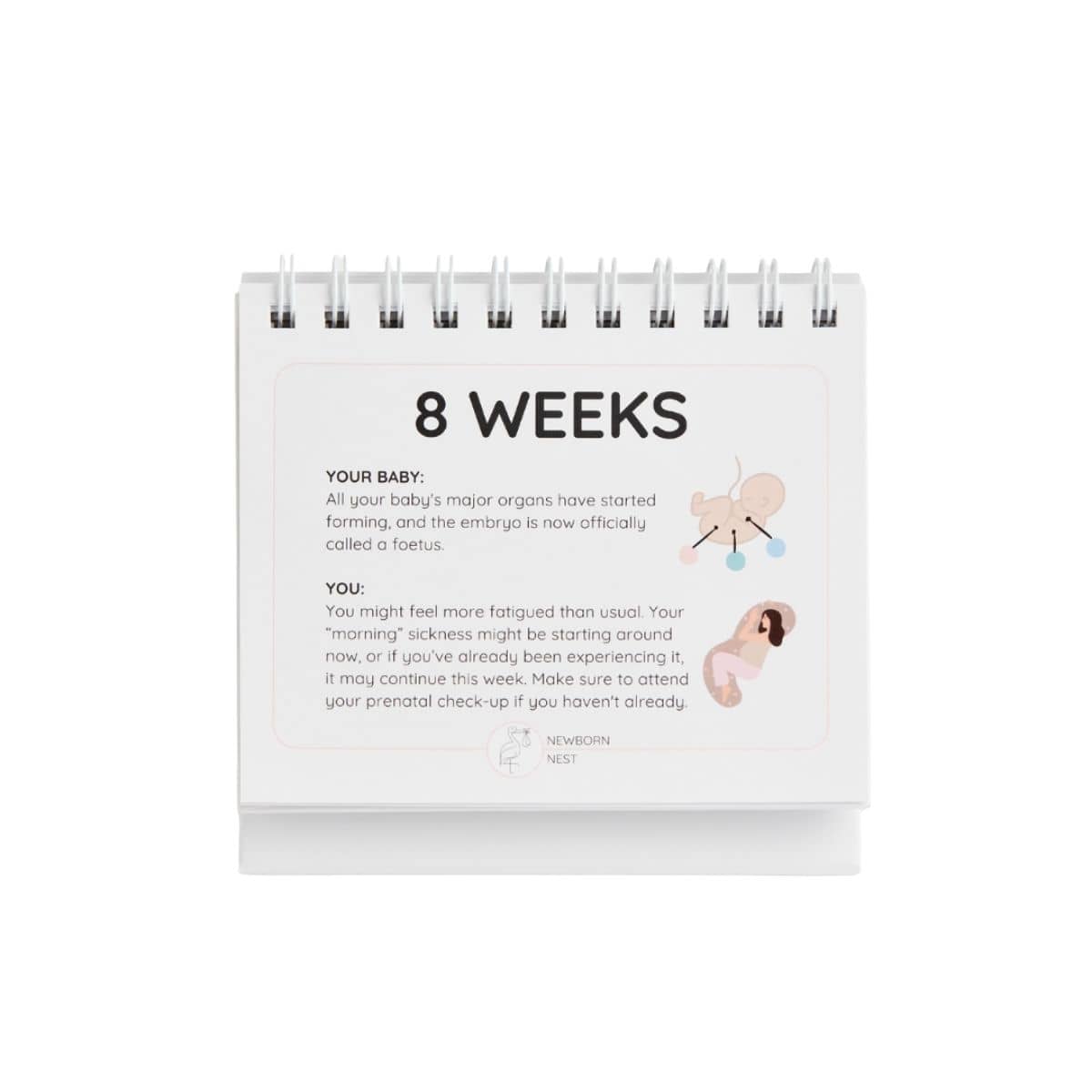 Newborn Nest The Growing Miracle Pregnancy Calendar
