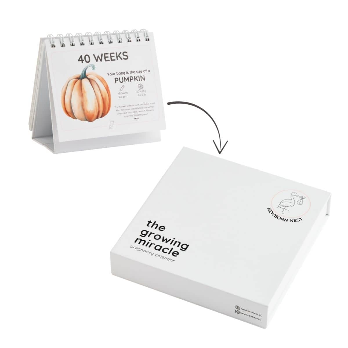 Newborn Nest The Growing Miracle Pregnancy Calendar