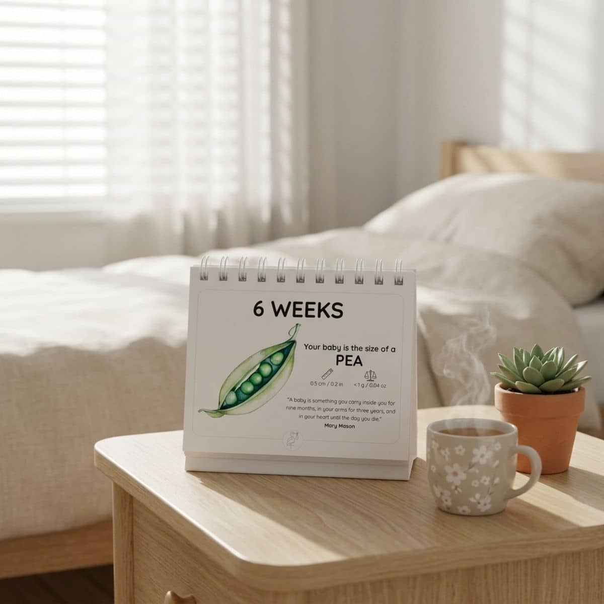 Newborn Nest The Growing Miracle Pregnancy Calendar