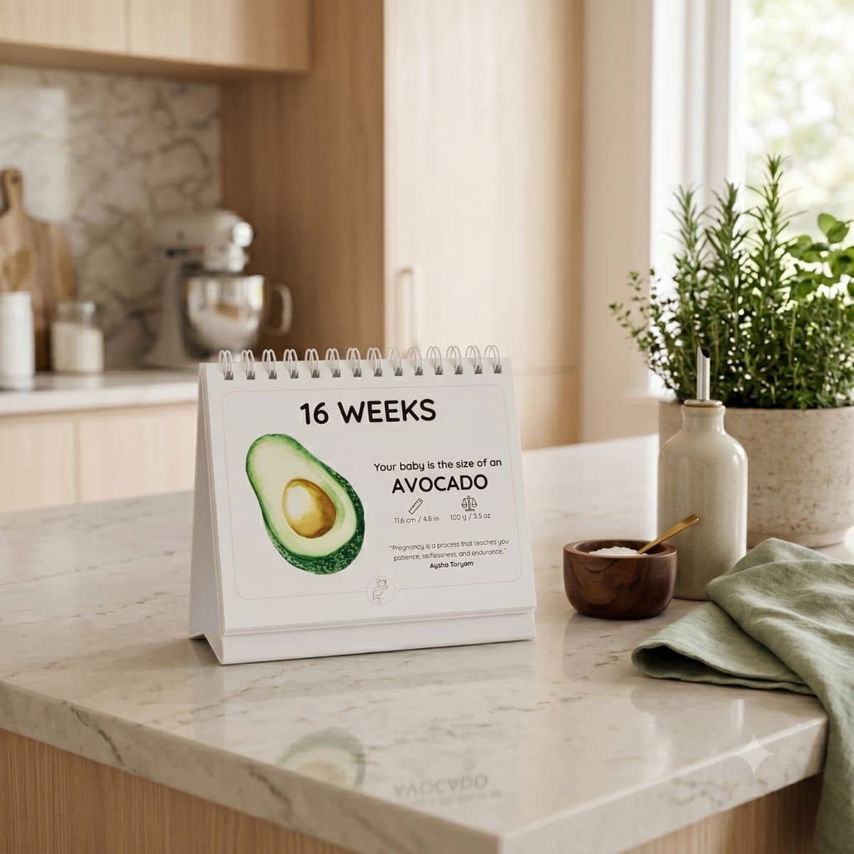 Newborn Nest The Growing Miracle Pregnancy Calendar