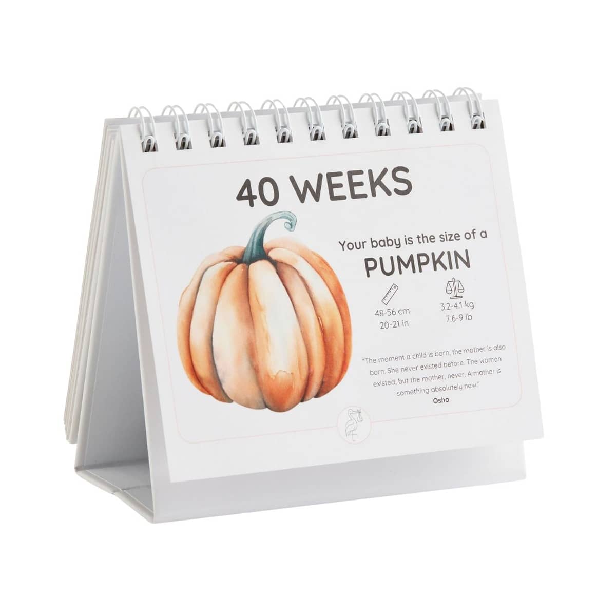 Newborn Nest The Growing Miracle Pregnancy Calendar