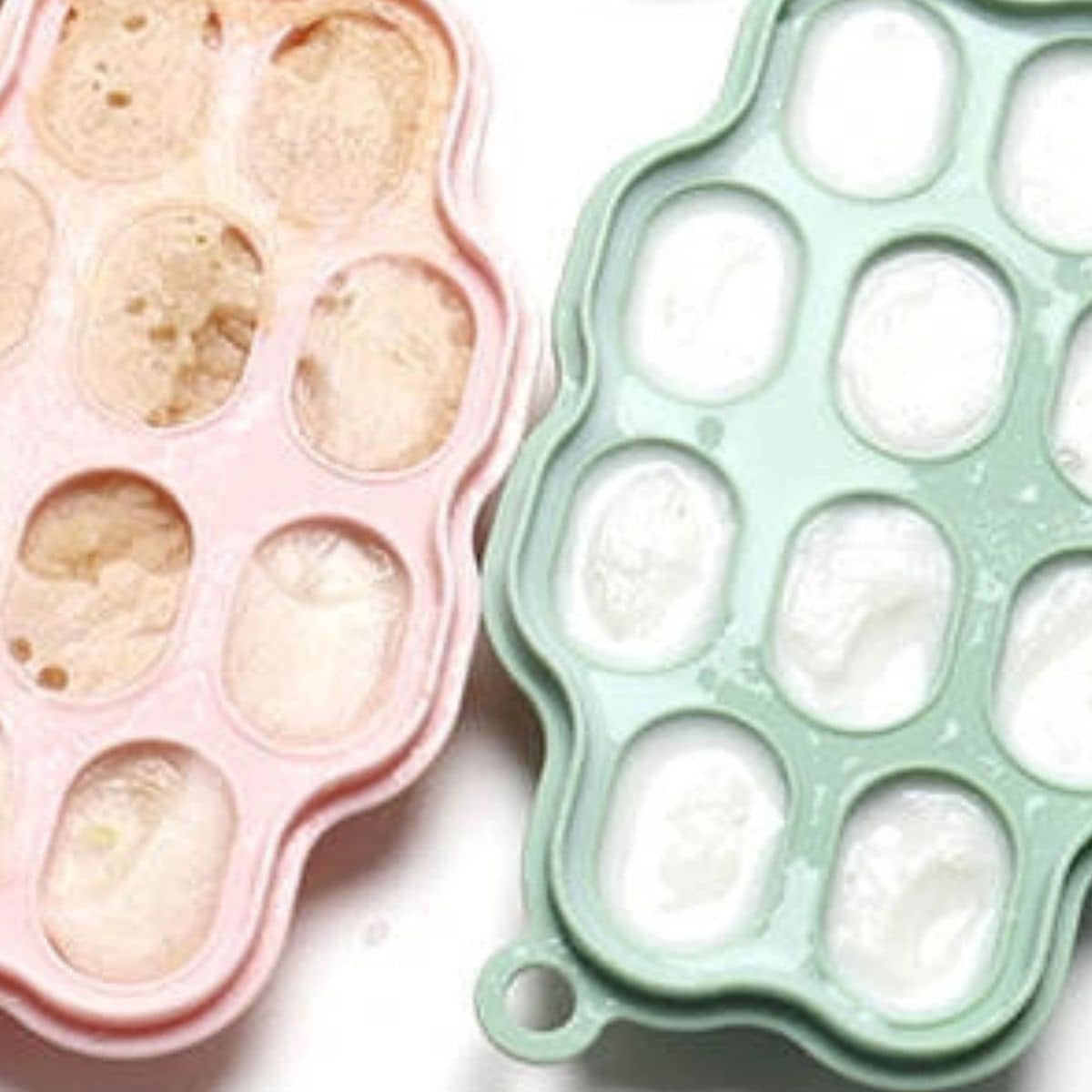 Nibble and Rest - Mini Silicone Freezer Tray with Lid