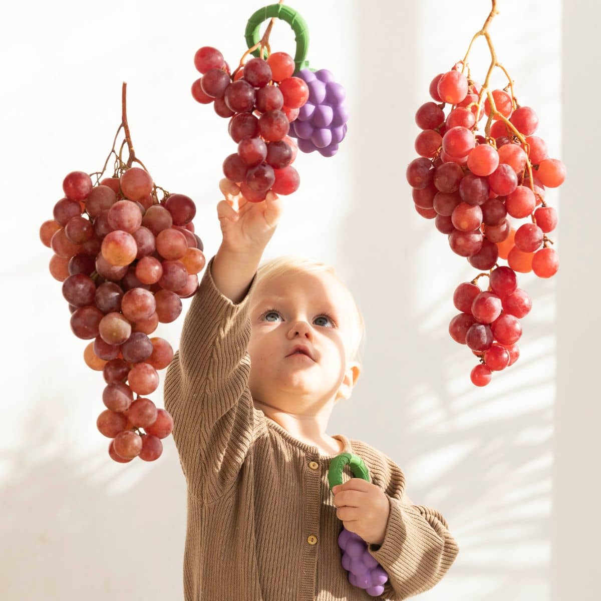 Oli & Carol 2 in 1 Rattle Toy and Teether - Grape