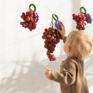 Oli & Carol 2 in 1 Rattle Toy and Teether - Grape