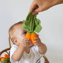 Oli & Carol Mini Doudou Teether - Cathy the Carrot