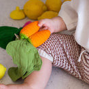 Oli & Carol Mini Doudou Teether - Cathy the Carrot