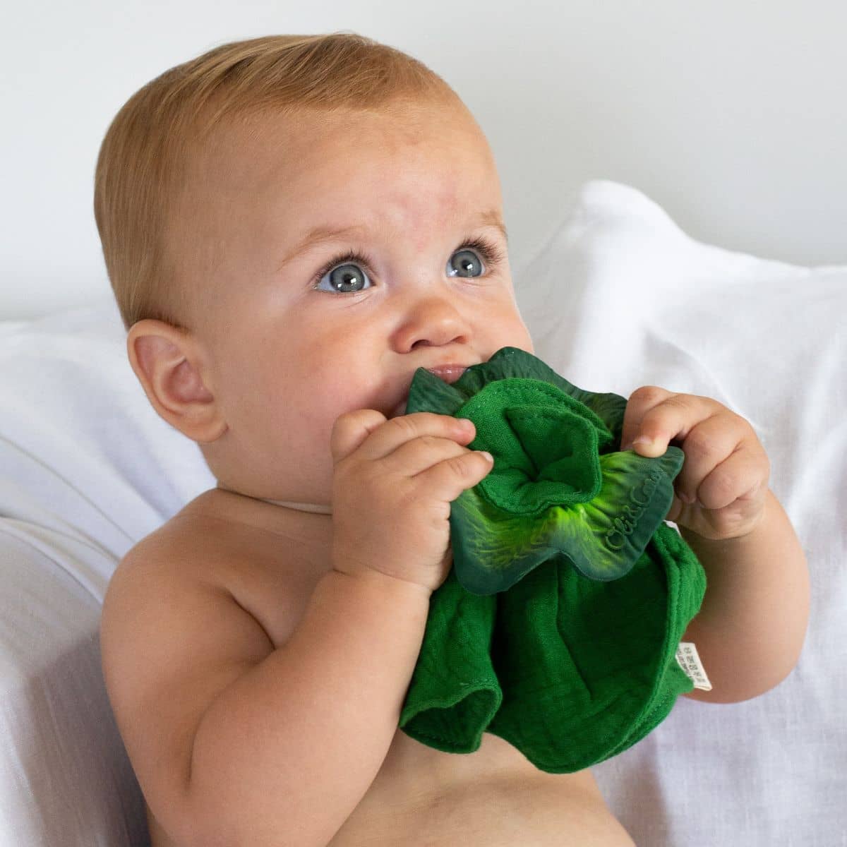 Oli & Carol Mini Doudou Teether - Kendall the Kale