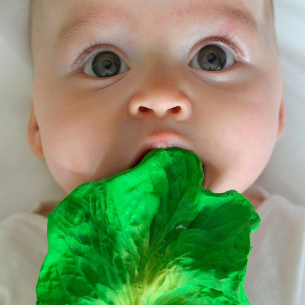 Oli & Carol Natural Rubber Teether - Kendall the Kale
