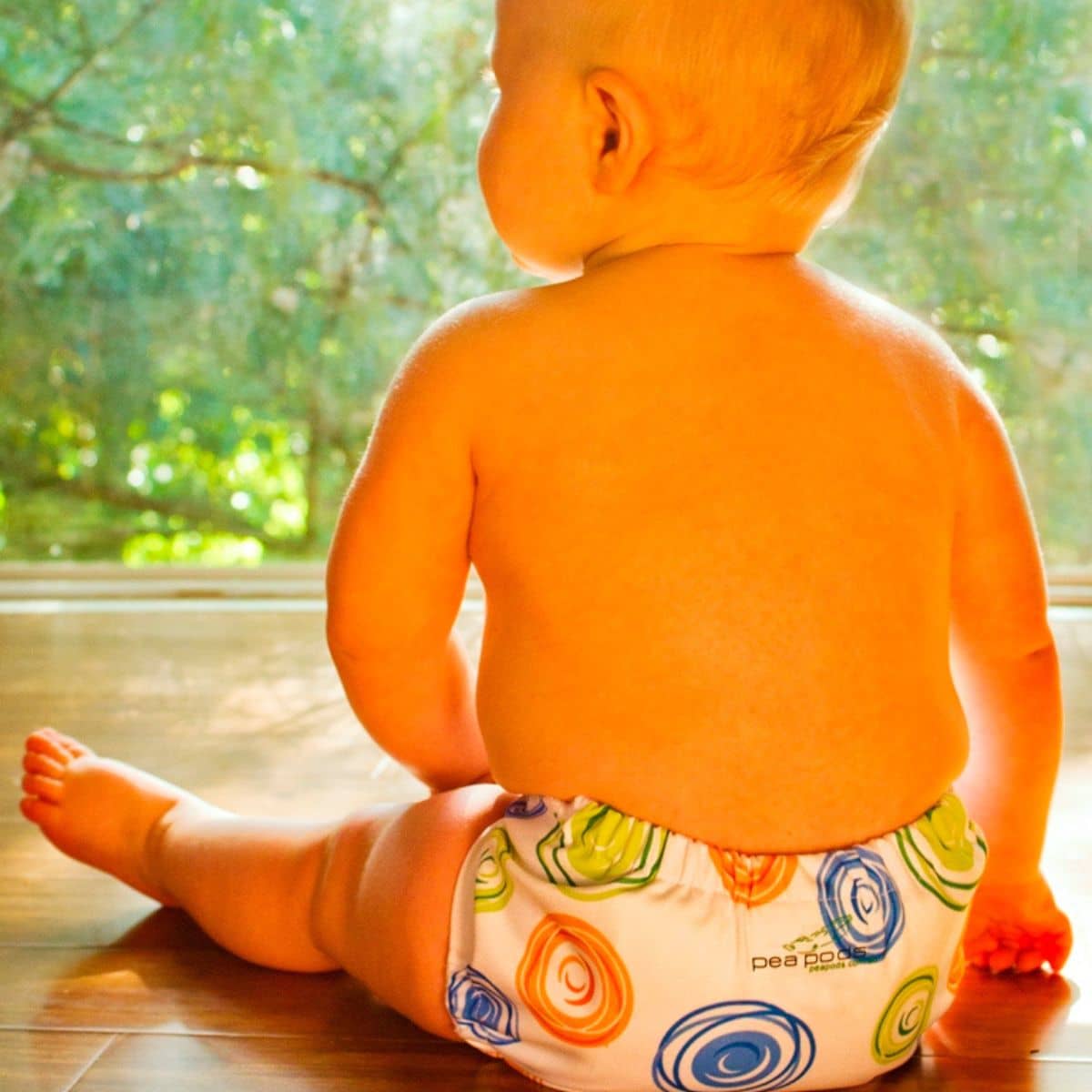 Pea Pods One Size Reusable Nappy - Print