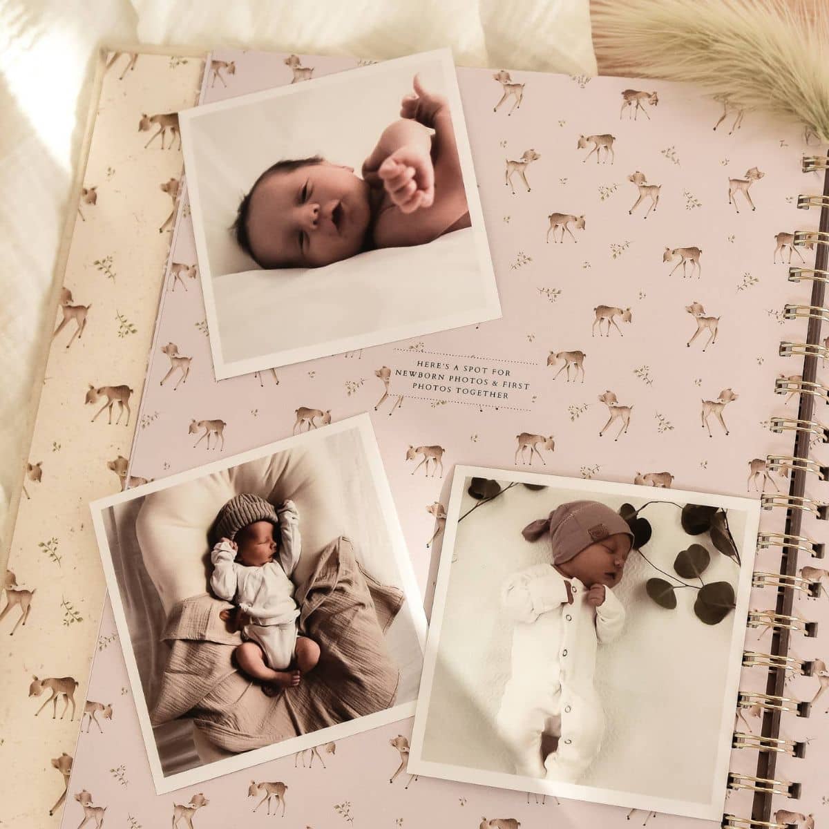 Peachly Baby Memory Book - Forest
