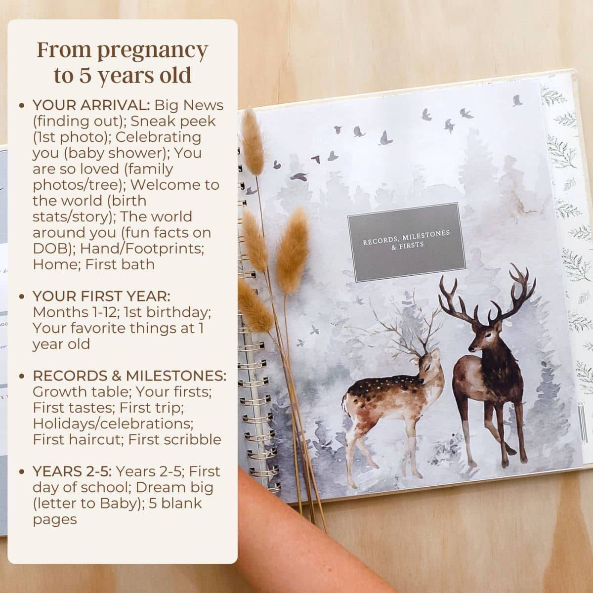 Peachly Baby Memory Book - Wild