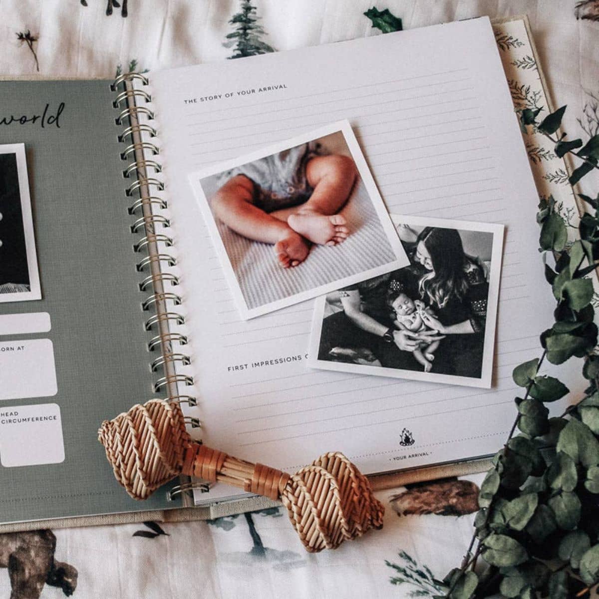 Peachly Baby Memory Book - Wild