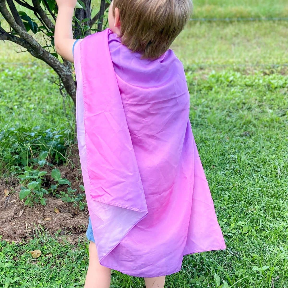 Play Silkies Regular Play Silk - Sunset