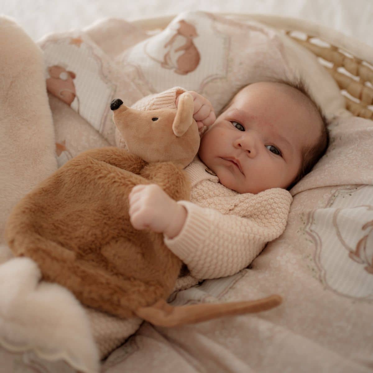 Pop Ya Tot Comforter Toy - Squeaky the Sweet