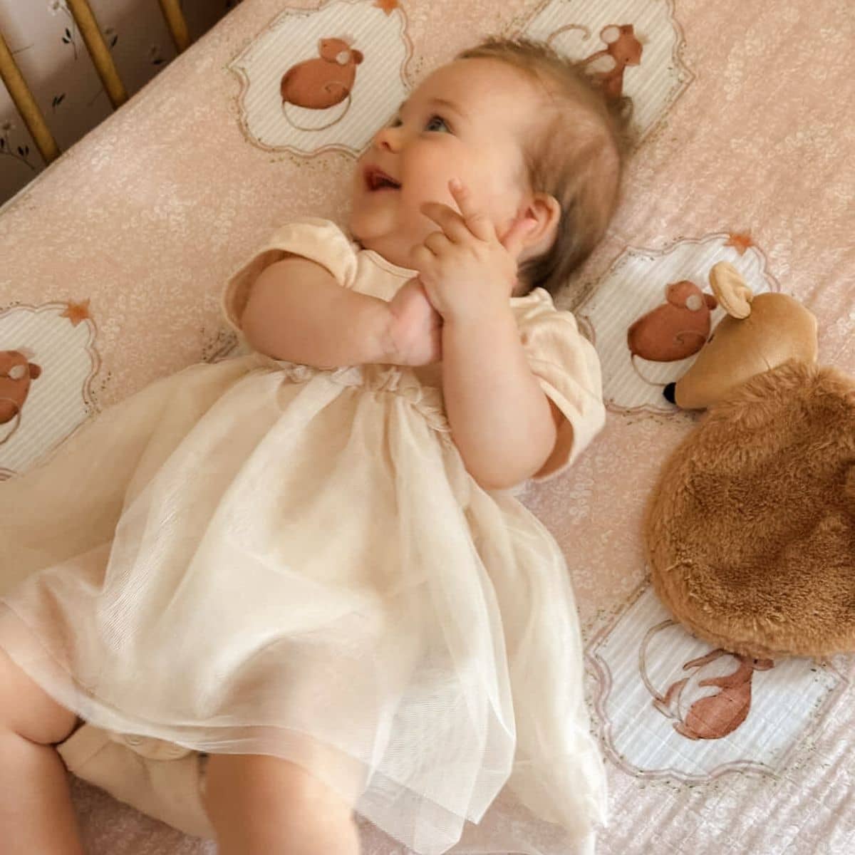 Pop Ya Tot Fitted Cotton Muslin Cot Sheet -Sweet Squeak