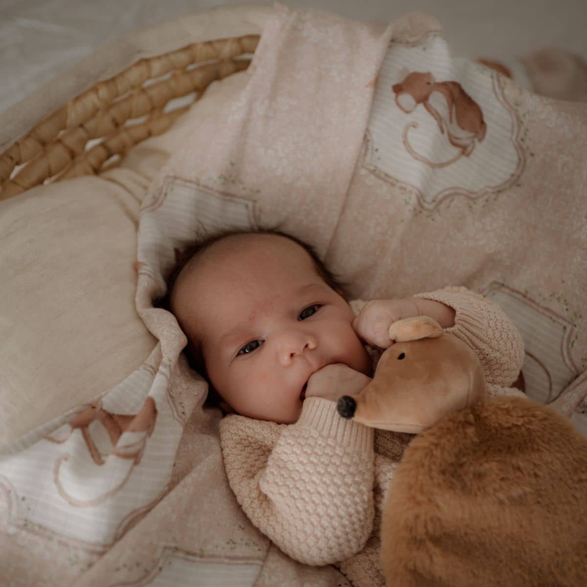 Pop Ya Tot Organic Cotton Swaddle Wrap - Sweet Squeak