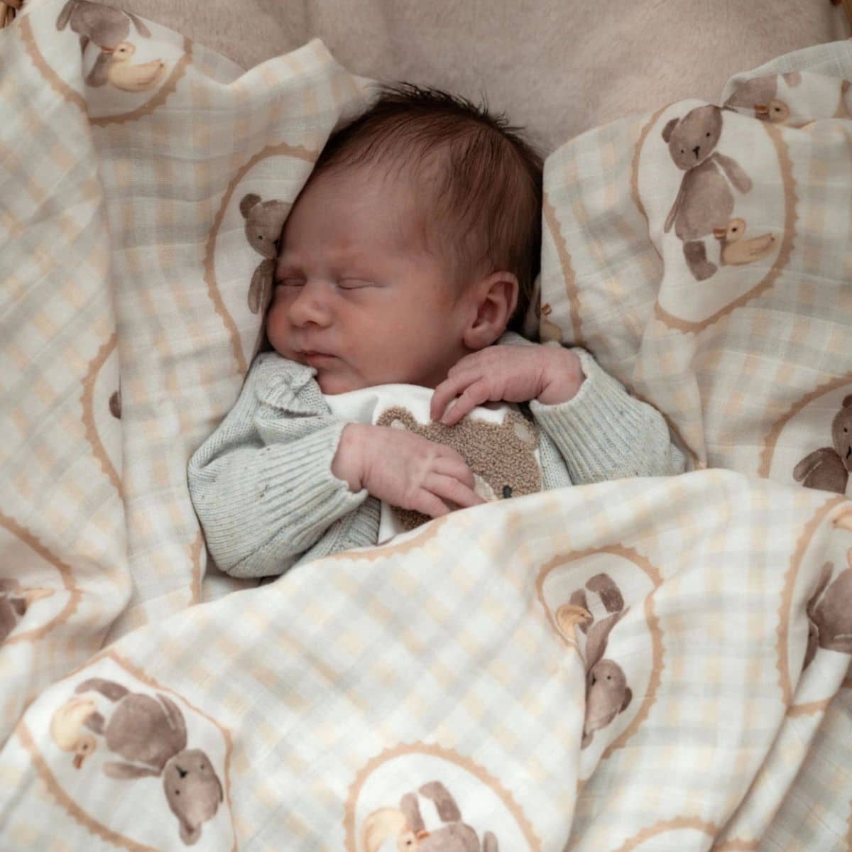 Pop Ya Tot Organic Cotton Swaddle Wrap - Ted & Duck