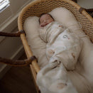 Pop Ya Tot Organic Cotton Swaddle Wrap - Up and Away