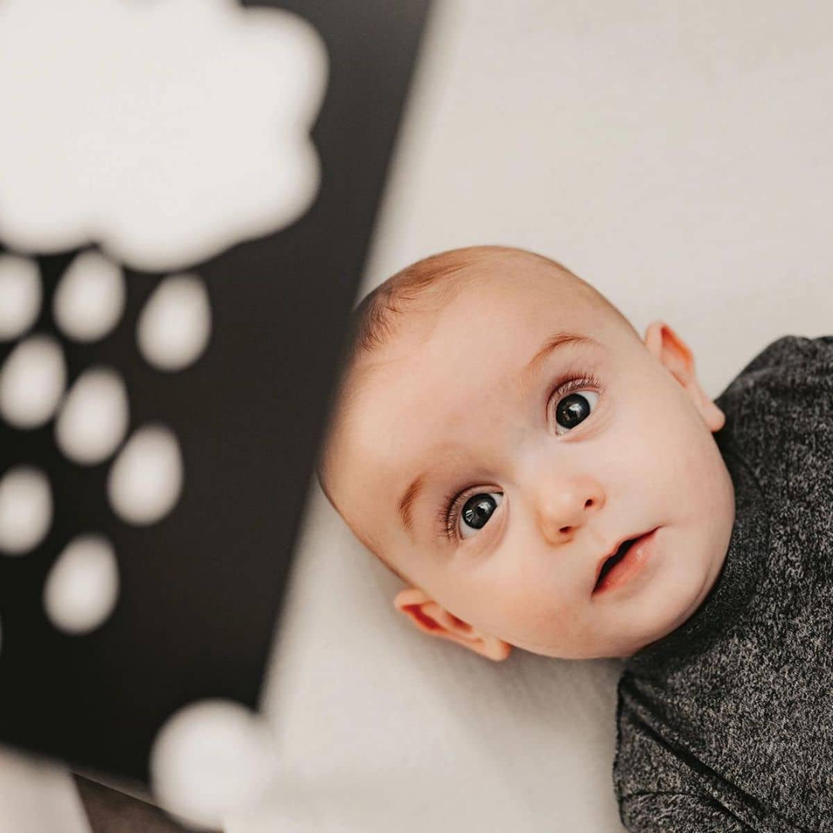 Priya & Peanut Baby High Contrast Sensory Flash Cards - Black + White