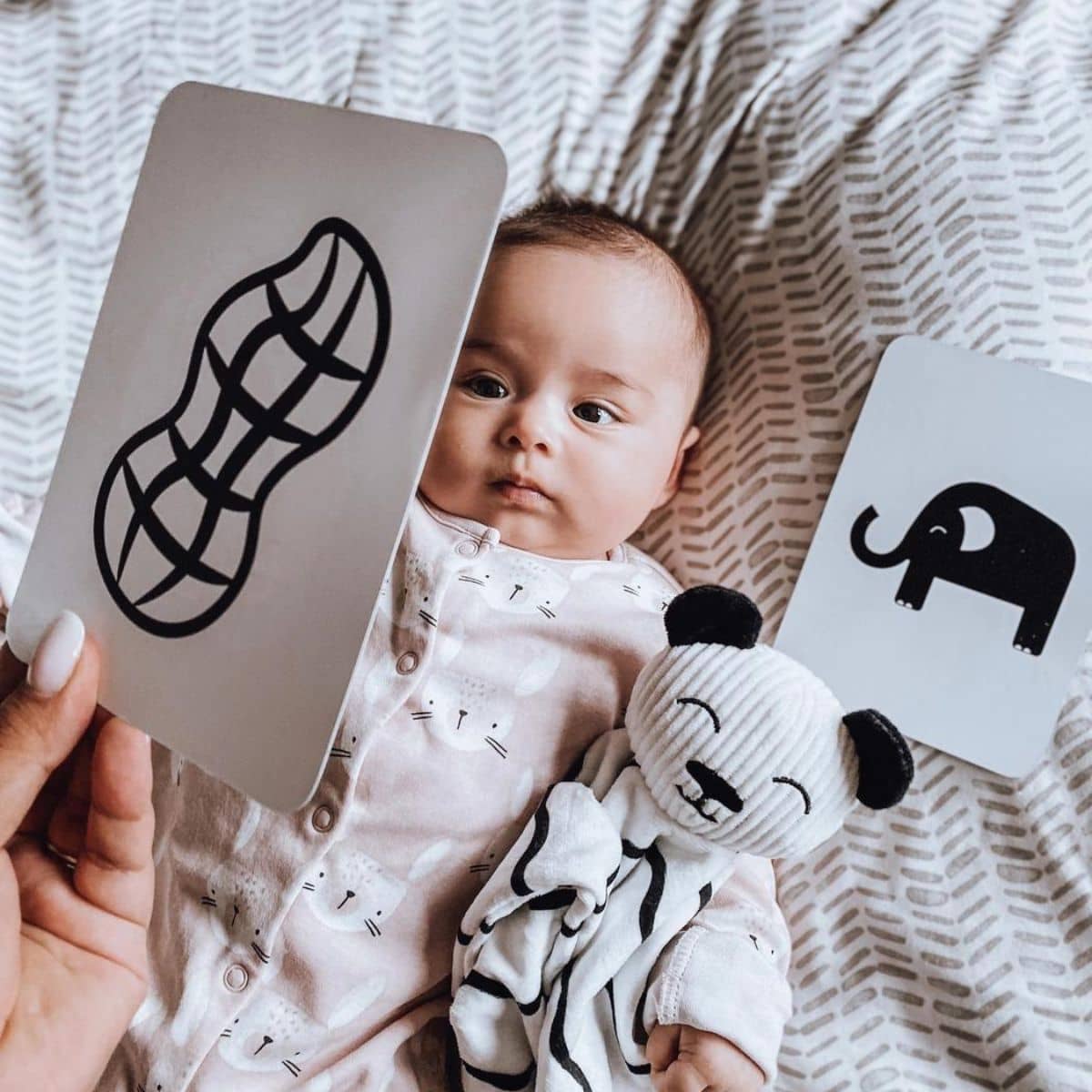 Priya & Peanut Baby High Contrast Sensory Flash Cards - Black + White