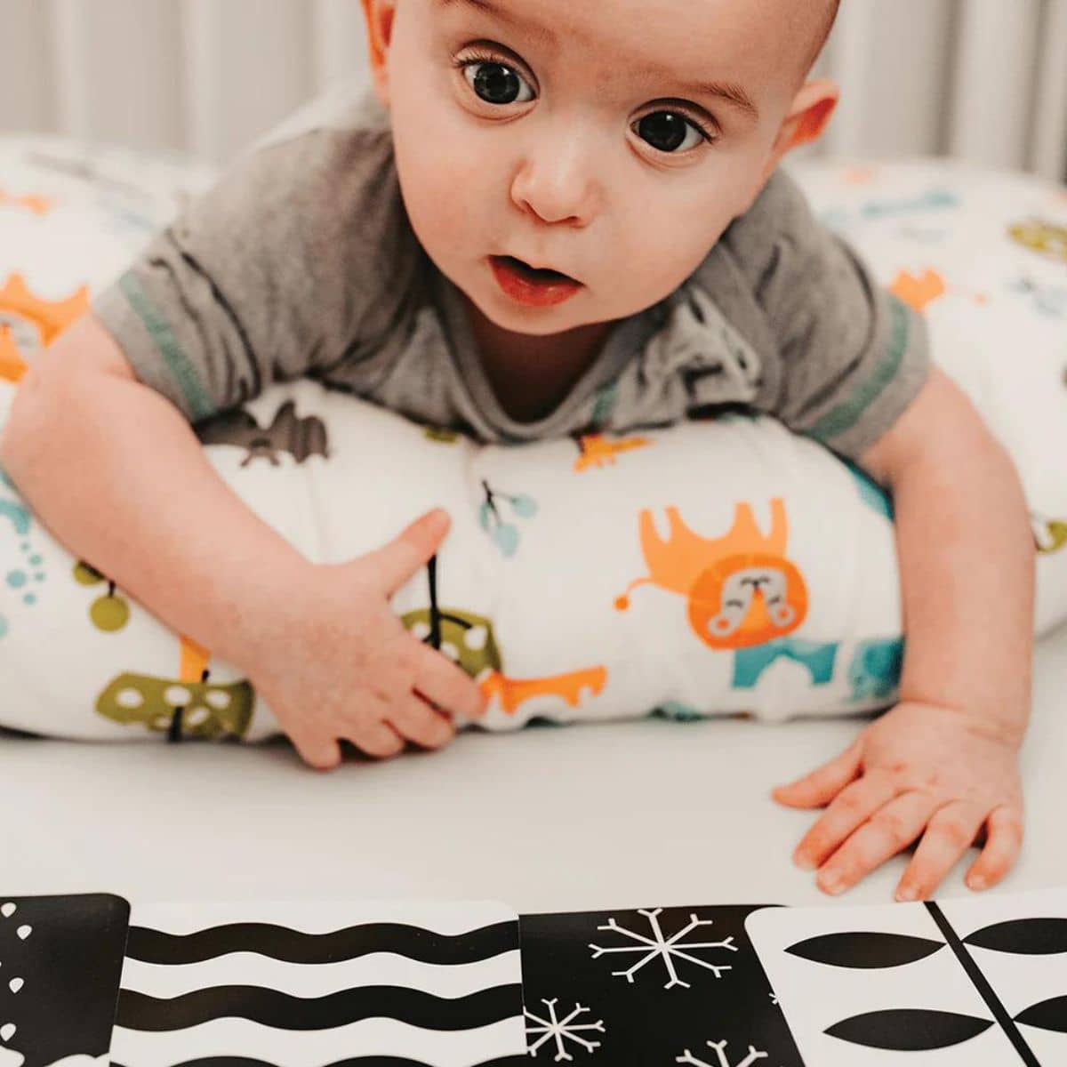 Priya & Peanut Baby High Contrast Sensory Flash Cards - Black + White