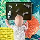 Rudie Nudie Picnic Rug - Flamingo-A-Go-Go